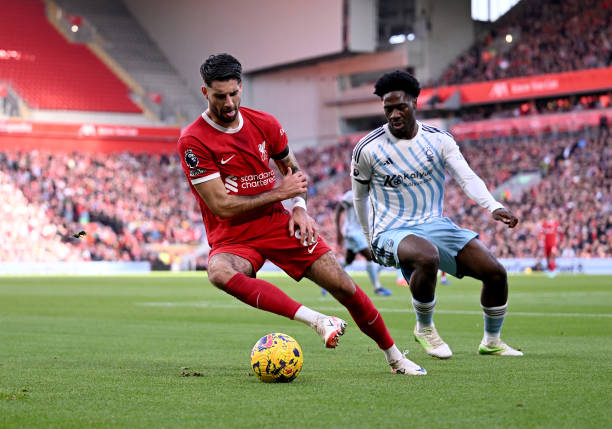 在努力培养 在努力培养