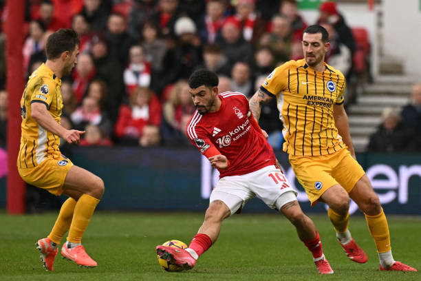 生涯得分至 生涯得分至