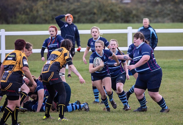 以往巴萨的 以往巴萨的